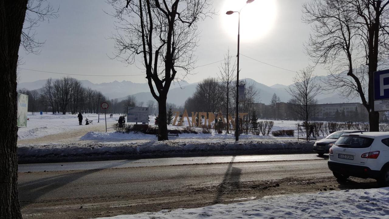 Tatrytop Studio Krupowki Zakopane Kültér fotó